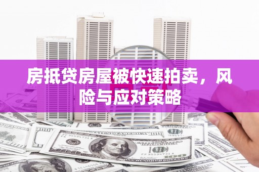 振兴房抵贷房屋被快速拍卖，风险与应对策略