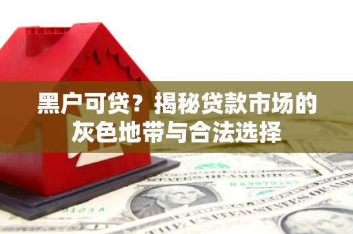 鸠江黑户可贷？揭秘贷款市场的灰色地带与合法选择