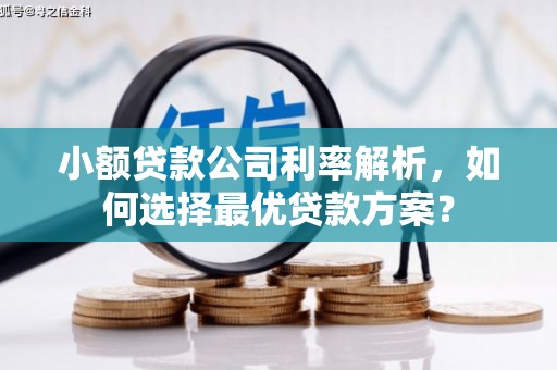 昌邑小额贷款公司利率解析，如何选择最优贷款方案？