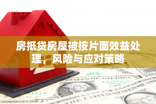 船山房抵贷房屋被按片面效益处理，风险与应对策略